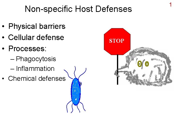 Non-specific Host Defenses • Physical barriers • Cellular defense • Processes: – Phagocytosis –