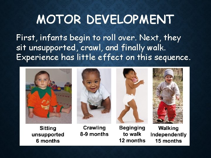 MOTOR DEVELOPMENT First, infants begin to roll over. Next, they sit unsupported, crawl, and