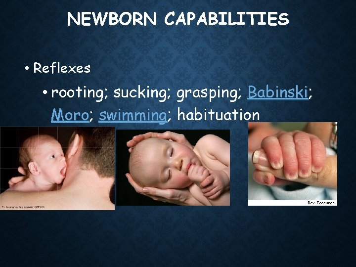NEWBORN CAPABILITIES • Reflexes • rooting; sucking; grasping; Babinski; Moro; swimming; habituation 