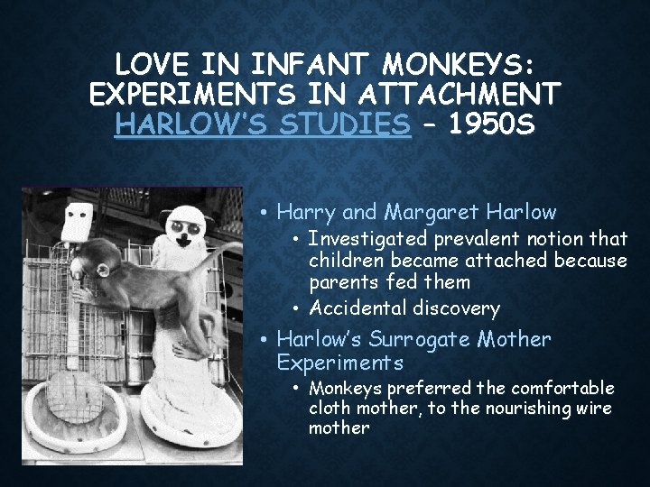 LOVE IN INFANT MONKEYS: EXPERIMENTS IN ATTACHMENT HARLOW’S STUDIES – 1950 S • Harry