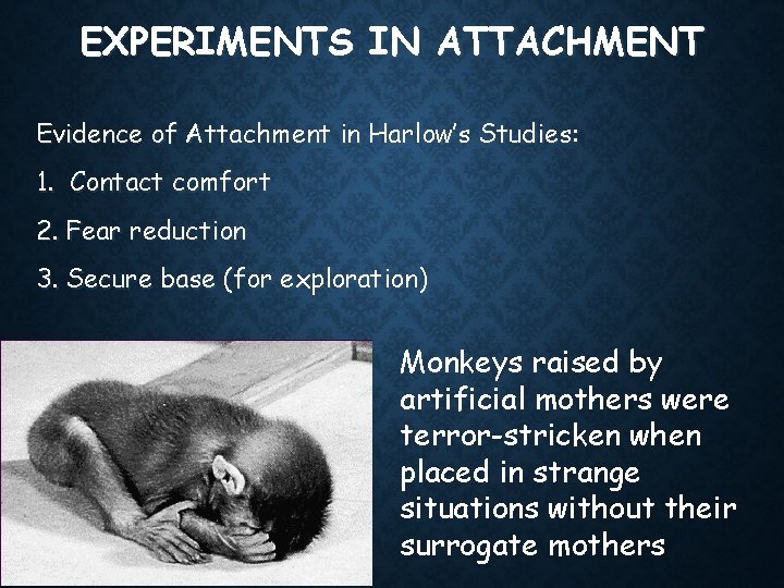 EXPERIMENTS IN ATTACHMENT Evidence of Attachment in Harlow’s Studies: 1. Contact comfort 2. Fear