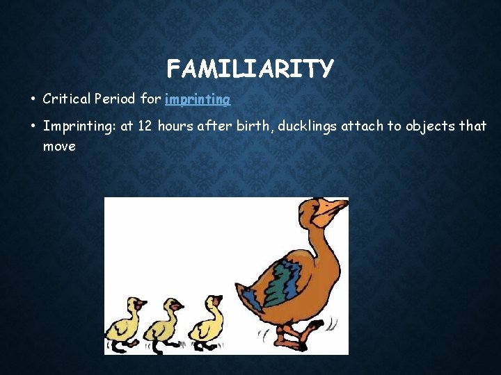 FAMILIARITY • Critical Period for imprinting • Imprinting: at 12 hours after birth, ducklings