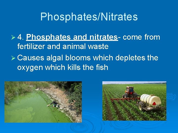 Phosphates/Nitrates Ø 4. Phosphates and nitrates- come from fertilizer and animal waste Ø Causes