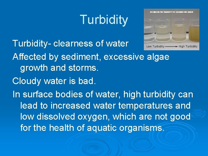 Turbidity- clearness of water Affected by sediment, excessive algae growth and storms. Cloudy water