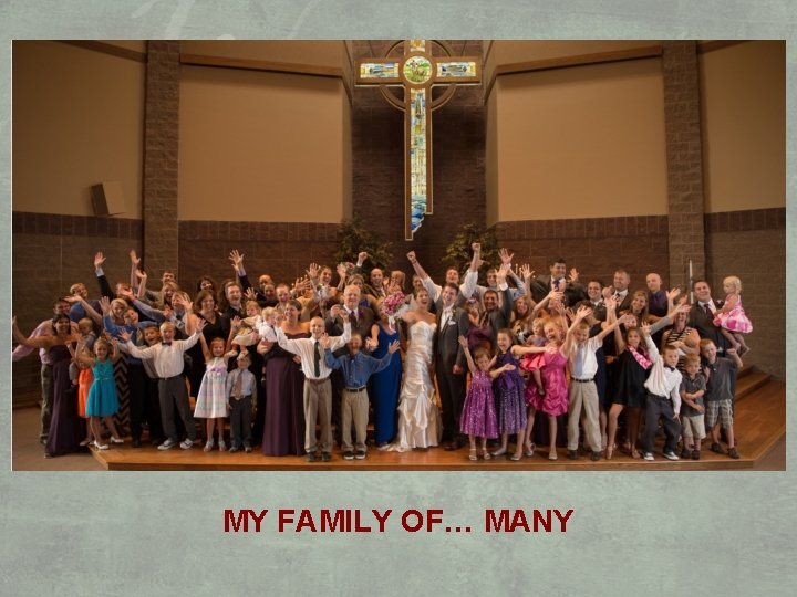 MY FAMILY OF… MANY 
