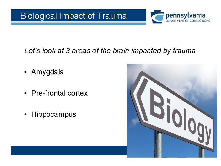 Biological Impact of Trauma Let’s look at 3 areas of the brain impacted by Biological Impact of Trauma Let’s look at 3 areas of the brain impacted by