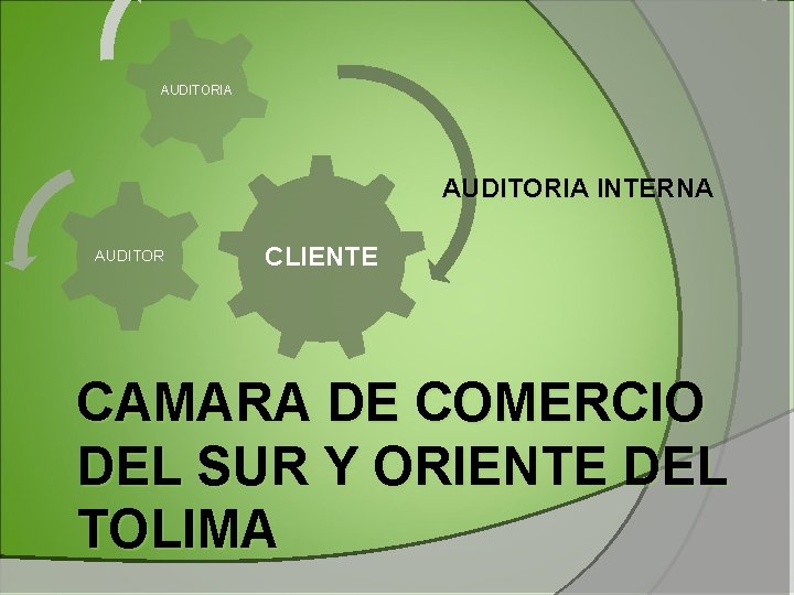 AUDITORIA INTERNA AUDITOR CLIENTE CAMARA DE COMERCIO DEL SUR Y ORIENTE DEL TOLIMA AUDITORIA INTERNA AUDITOR CLIENTE CAMARA DE COMERCIO DEL SUR Y ORIENTE DEL TOLIMA