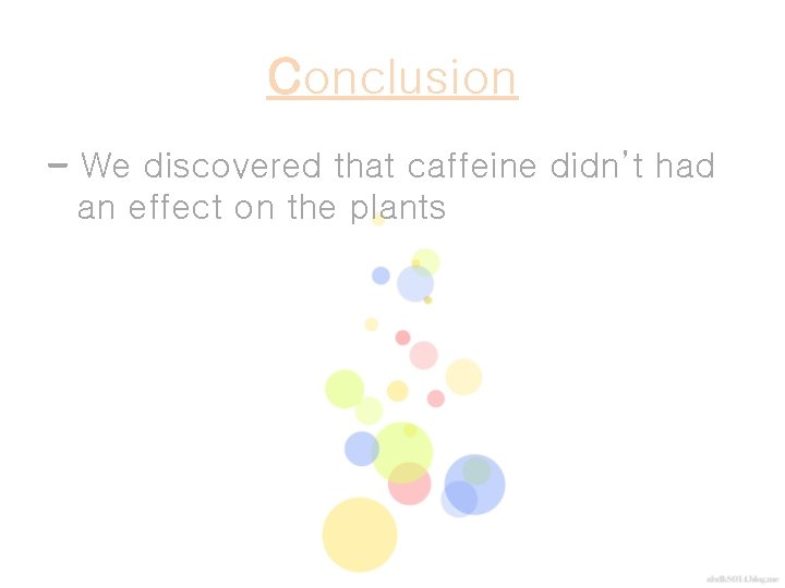 Conclusion - We discovered that caffeine didn’t had an effect on the plants 
