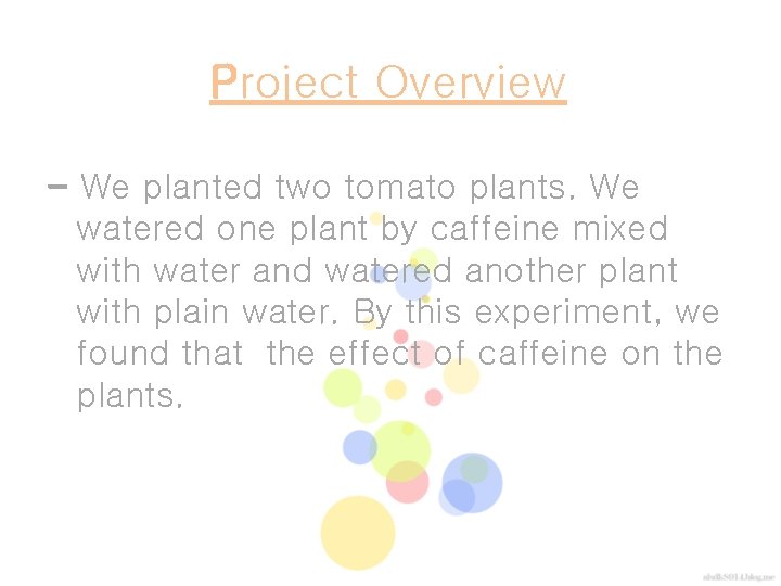 Project Overview - We planted two tomato plants. We watered one plant by caffeine