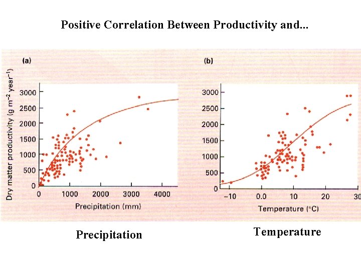 Positive Correlation Between Productivity and. . . Precipitation Temperature 