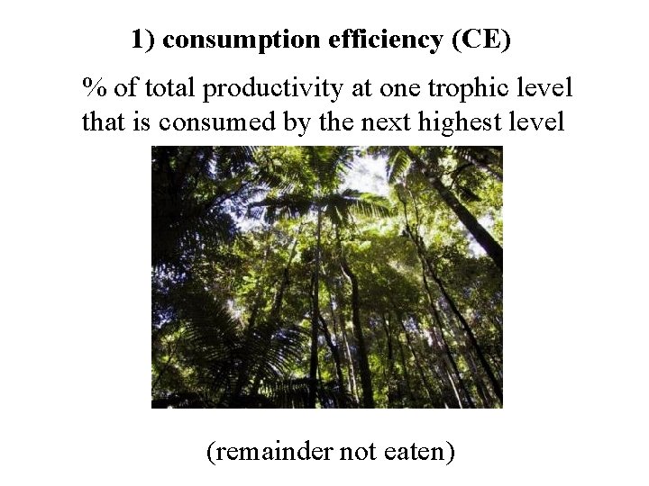 1) consumption efficiency (CE) % of total productivity at one trophic level that is