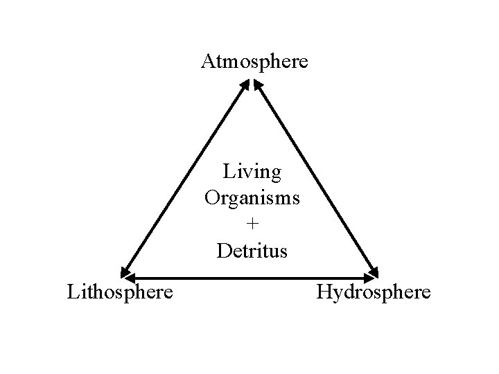 Atmosphere Living Organisms + Detritus Lithosphere Hydrosphere 