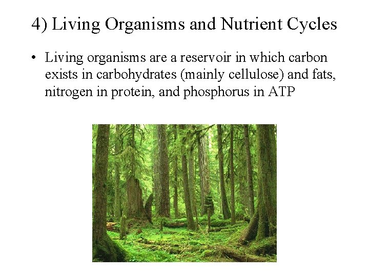 4) Living Organisms and Nutrient Cycles • Living organisms are a reservoir in which