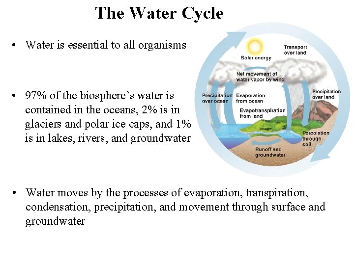 The Water Cycle • Water is essential to all organisms • 97% of the