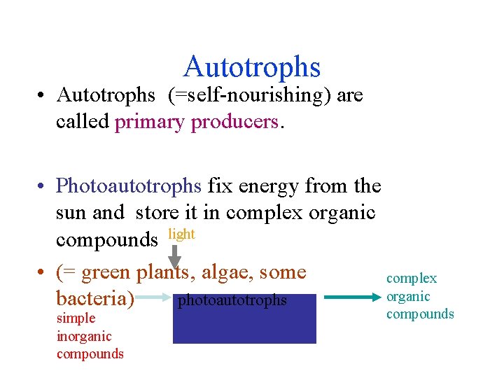 Autotrophs • Autotrophs (=self-nourishing) are called primary producers. • Photoautotrophs fix energy from the