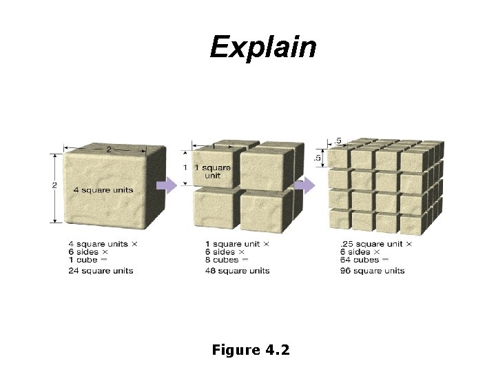 Explain Figure 4. 2 