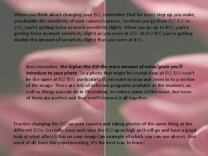 When you think about changing your ISO, remember that for every step up you