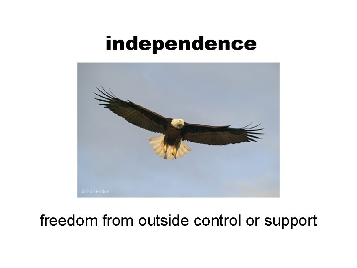 independence freedom from outside control or support 