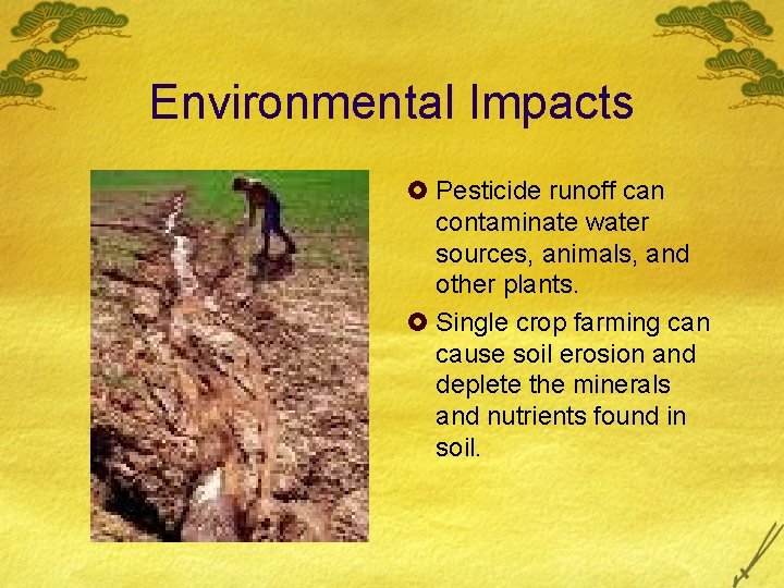 Environmental Impacts £ Pesticide runoff can contaminate water sources, animals, and other plants. £