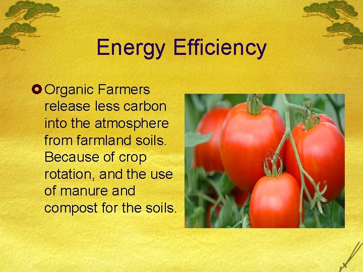 Energy Efficiency £ Organic Farmers release less carbon into the atmosphere from farmland soils.