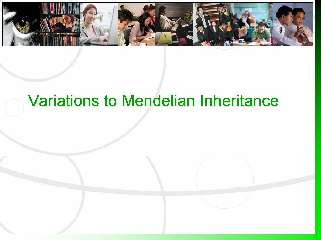 Variations to Mendelian Inheritance 