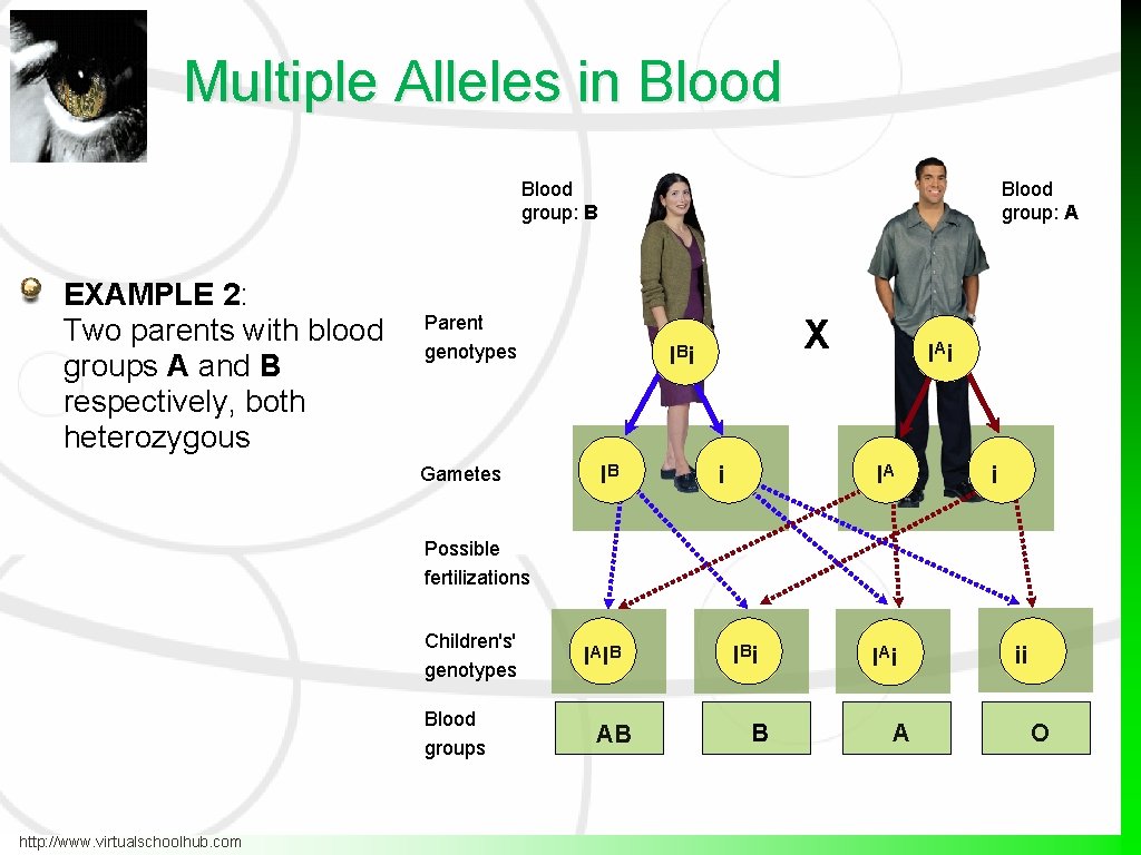 Multiple Alleles in Blood group: B EXAMPLE 2: Two parents with blood groups A