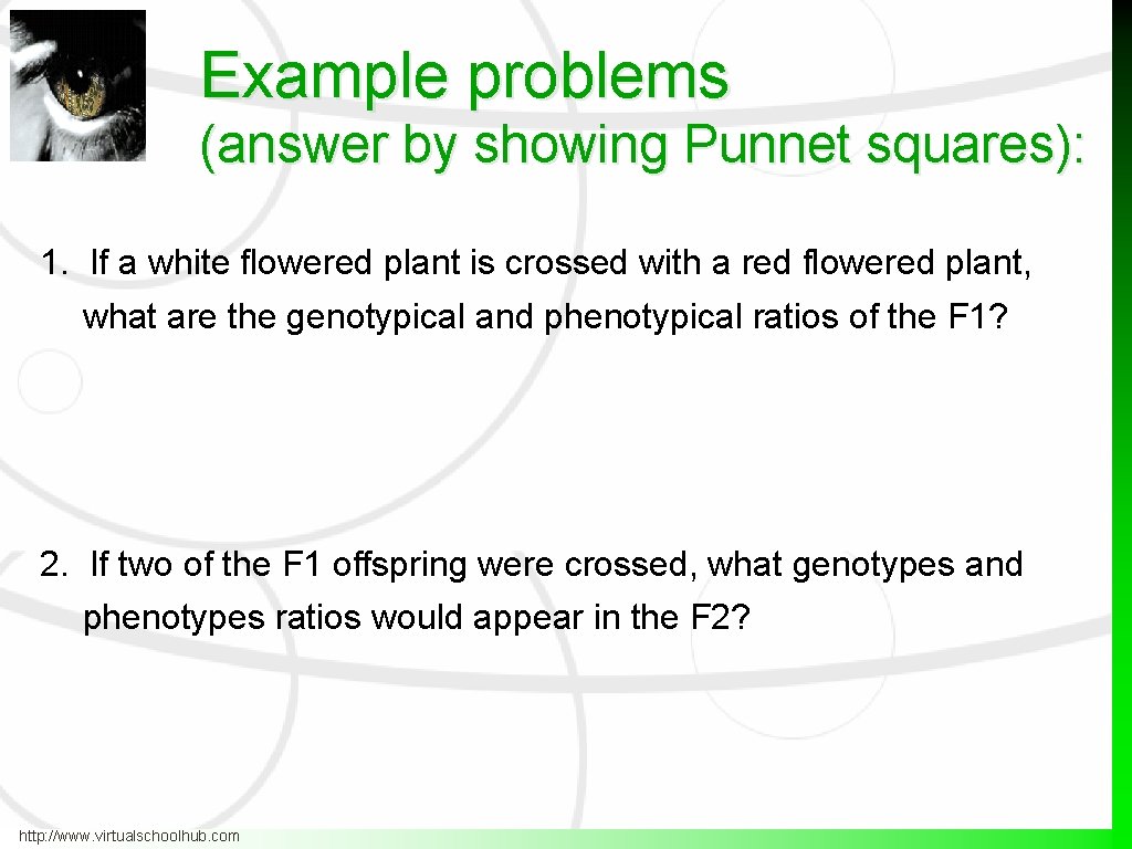 Example problems (answer by showing Punnet squares): 1. If a white flowered plant is