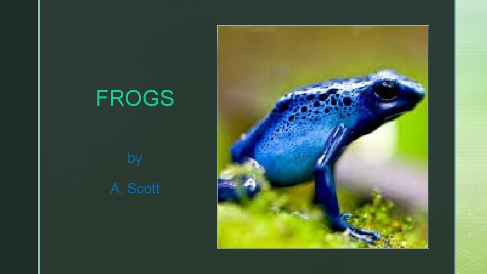 FROGS z by A. Scott 