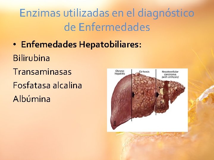 Enzimas utilizadas en el diagnóstico de Enfermedades • Enfemedades Hepatobiliares: Bilirubina Transaminasas Fosfatasa alcalina