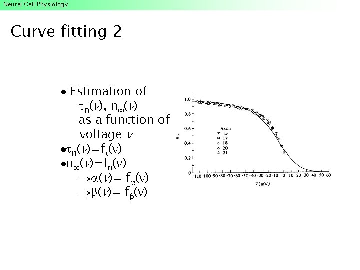 Neural Cell Physiology Curve fitting 2 Estimation of n(v), n (v) as a function Neural Cell Physiology Curve fitting 2 Estimation of n(v), n (v) as a function