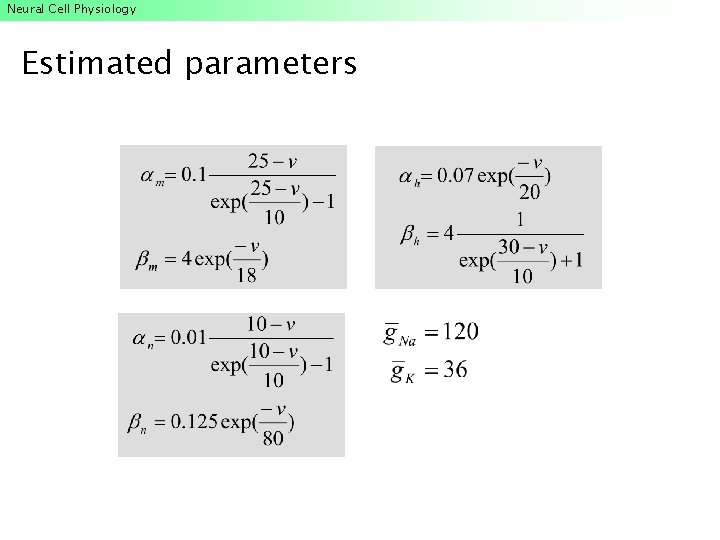 Neural Cell Physiology Estimated parameters Neural Cell Physiology Estimated parameters