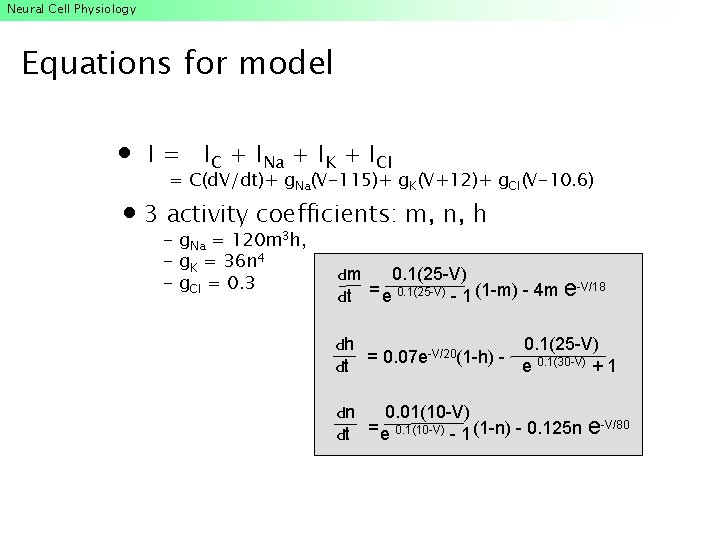 Neural Cell Physiology Equations for model I = IC + INa + IK + Neural Cell Physiology Equations for model I = IC + INa + IK +