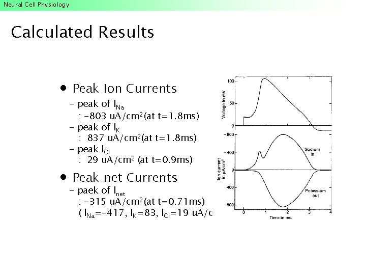 Neural Cell Physiology Calculated Results Peak Ion Currents - peak of l. Na : Neural Cell Physiology Calculated Results Peak Ion Currents - peak of l. Na :
