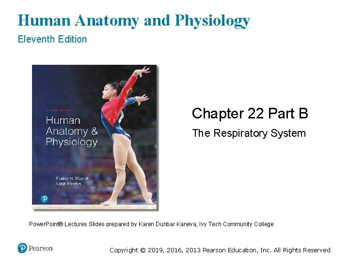 Human Anatomy and Physiology Eleventh Edition Chapter 22 Part B The Respiratory System Power.