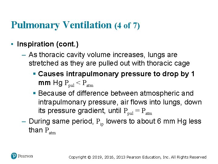 Pulmonary Ventilation (4 of 7) • Inspiration (cont. ) – As thoracic cavity volume