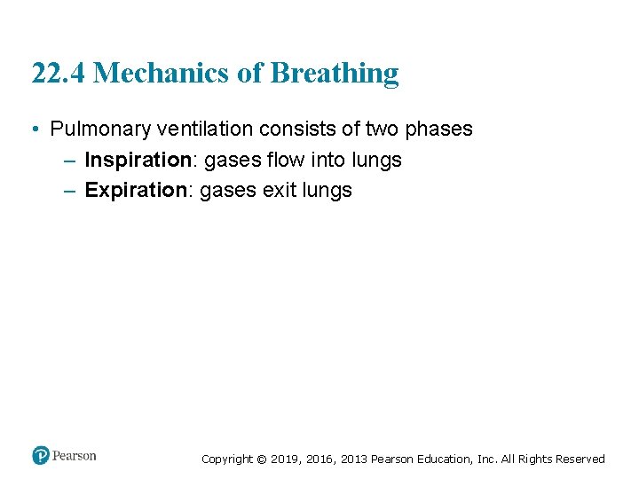 22. 4 Mechanics of Breathing • Pulmonary ventilation consists of two phases – Inspiration: