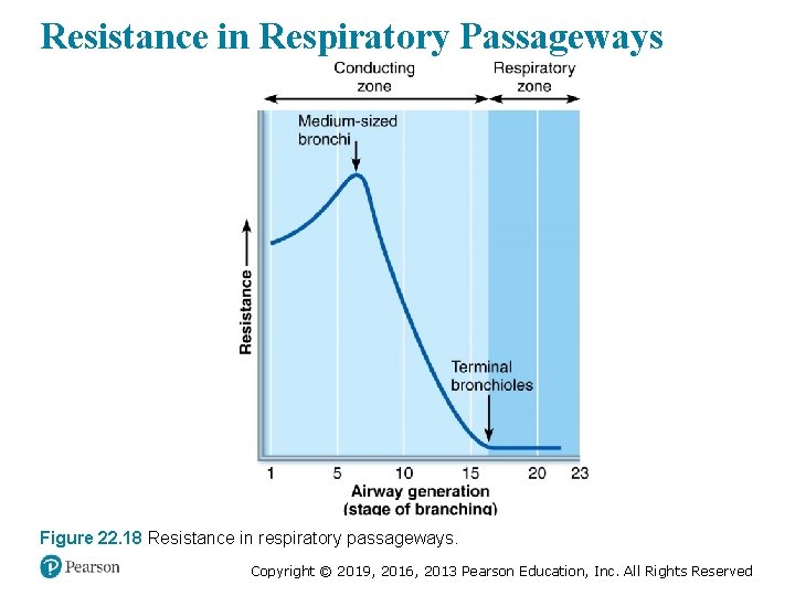 Resistance in Respiratory Passageways Figure 22. 18 Resistance in respiratory passageways. Copyright © 2019,