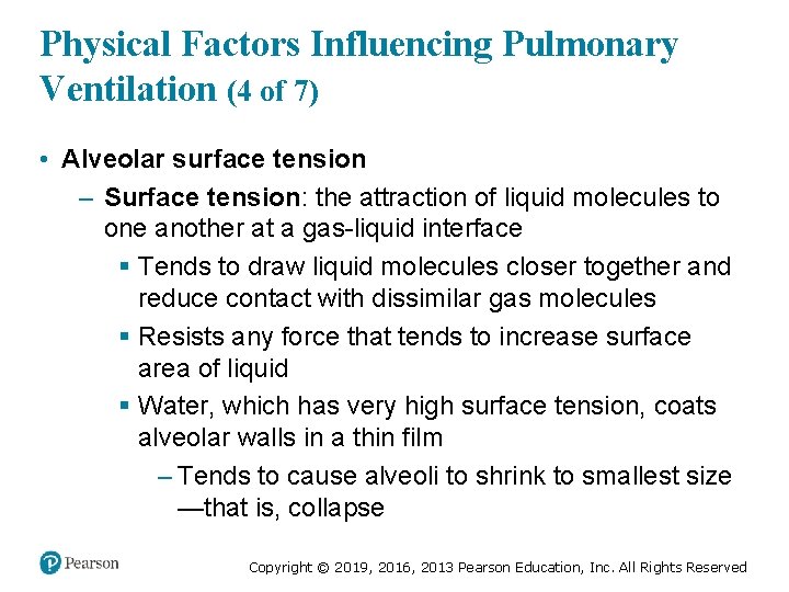 Physical Factors Influencing Pulmonary Ventilation (4 of 7) • Alveolar surface tension – Surface