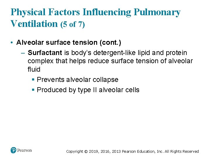 Physical Factors Influencing Pulmonary Ventilation (5 of 7) • Alveolar surface tension (cont. )