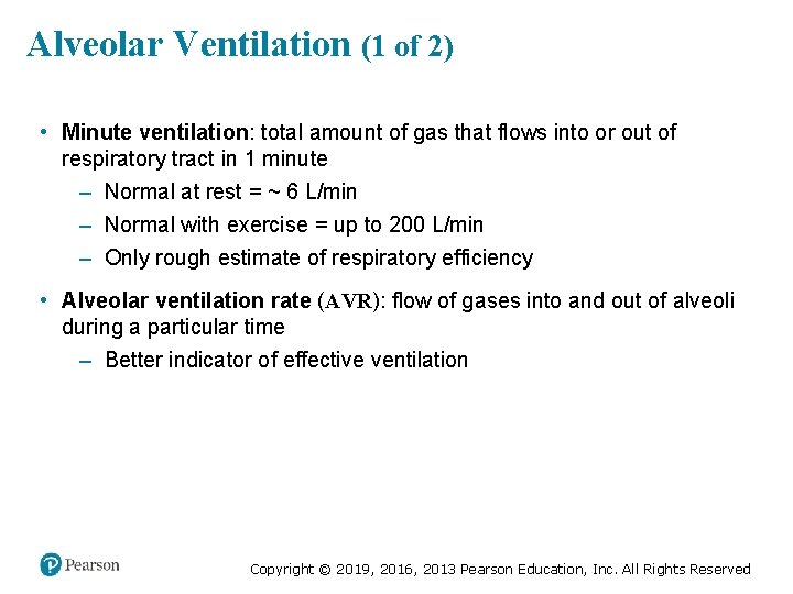 Alveolar Ventilation (1 of 2) • Minute ventilation: total amount of gas that flows