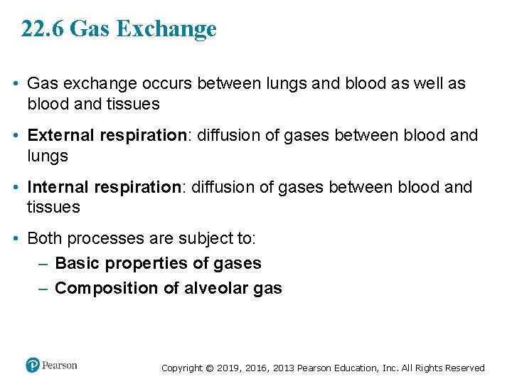 22. 6 Gas Exchange • Gas exchange occurs between lungs and blood as well