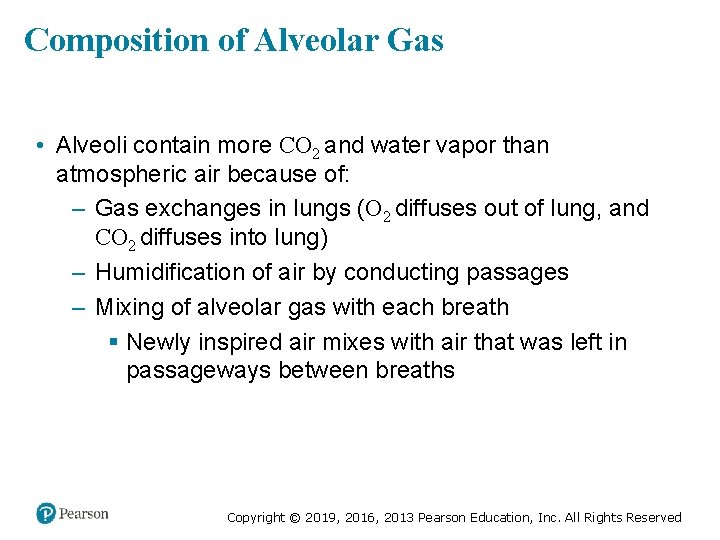 Composition of Alveolar Gas • Alveoli contain more CO 2 and water vapor than