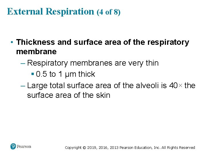 External Respiration (4 of 8) • Thickness and surface area of the respiratory membrane