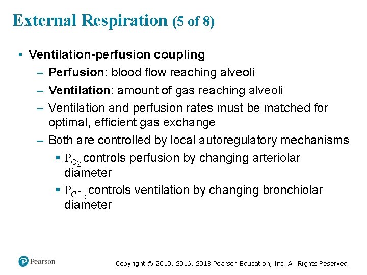 External Respiration (5 of 8) • Ventilation-perfusion coupling – Perfusion: blood flow reaching alveoli