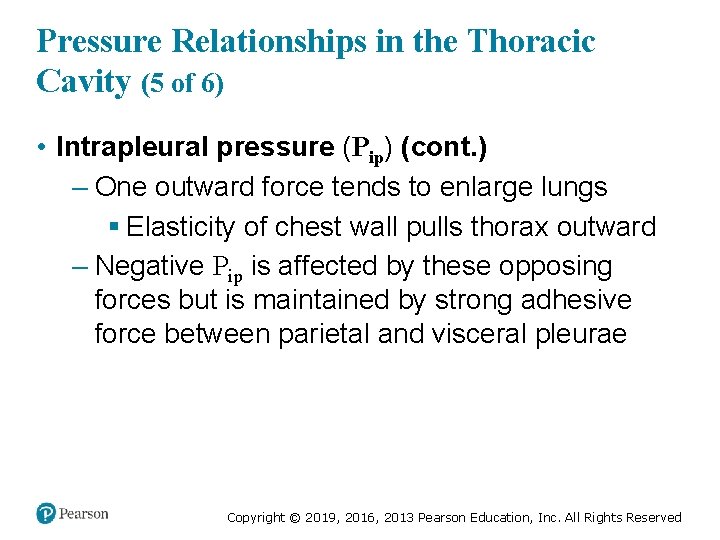 Pressure Relationships in the Thoracic Cavity (5 of 6) • Intrapleural pressure (Pip) (cont.