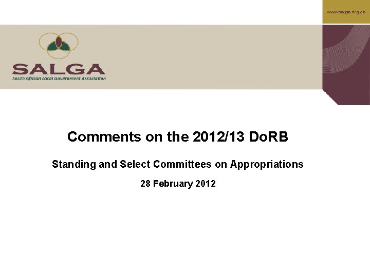 www. salga. org. za Comments on the 2012/13 Do. RB Standing and Select Committees