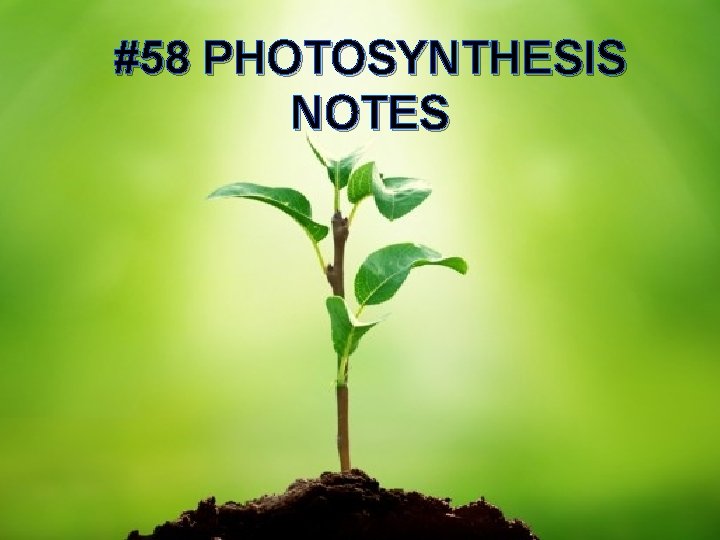 #58 PHOTOSYNTHESIS NOTES 