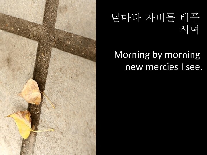 날마다 자비를 베푸 시며 Morning by morning new mercies I see. 