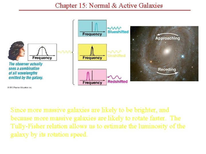 Chapter 15: Normal & Active Galaxies Since more massive galaxies are likely to be