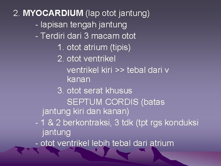 2. MYOCARDIUM (lap otot jantung) - lapisan tengah jantung - Terdiri dari 3 macam